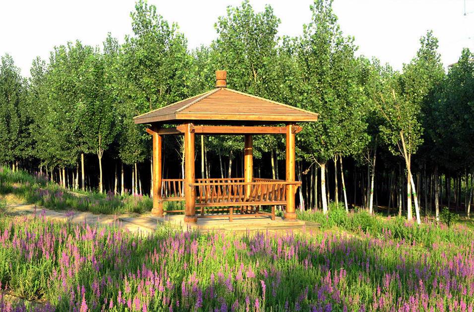 北辰郊野公園綠化養(yǎng)護